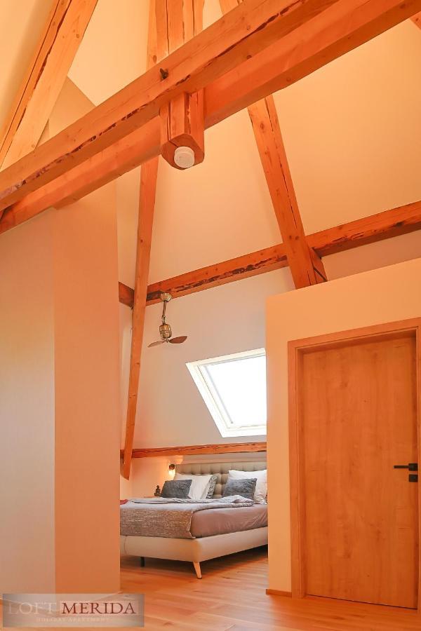 Loft Merida - Designer Apartment With Large Bathtub Butgenbach Εξωτερικό φωτογραφία
