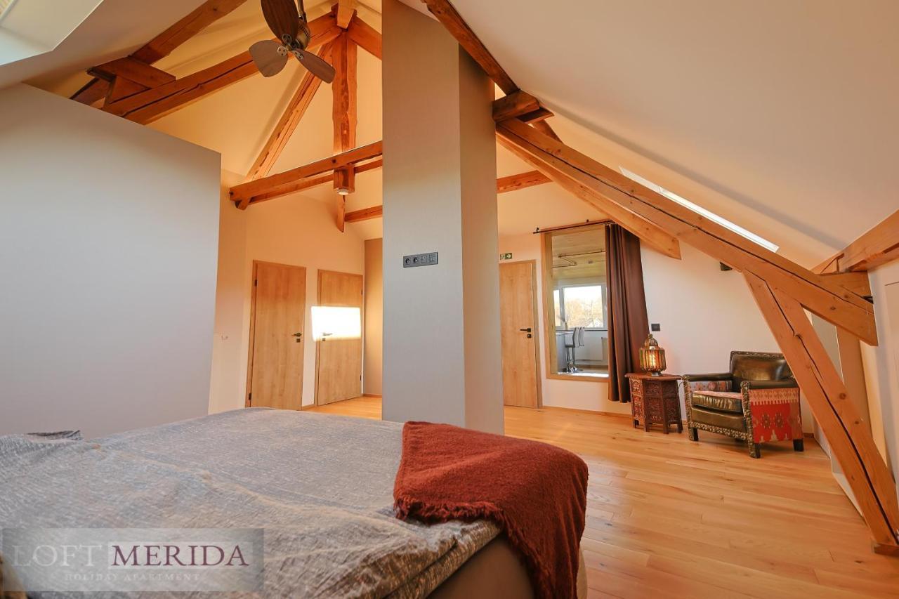 Loft Merida - Designer Apartment With Large Bathtub Butgenbach Εξωτερικό φωτογραφία